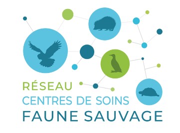 article-réseaux